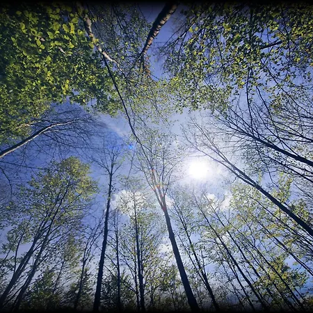 Apartamento Erholungsoase Am Rand Des Harzes - Bad Lauterberg